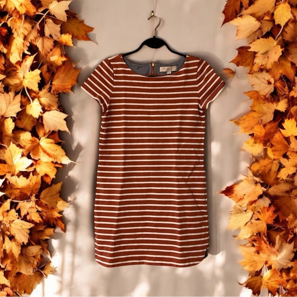 Ann Taylor LOFT Sienna Brown & Cream Striped Knit Mini Shift Dress